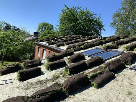 installation av gröna tak stockholm