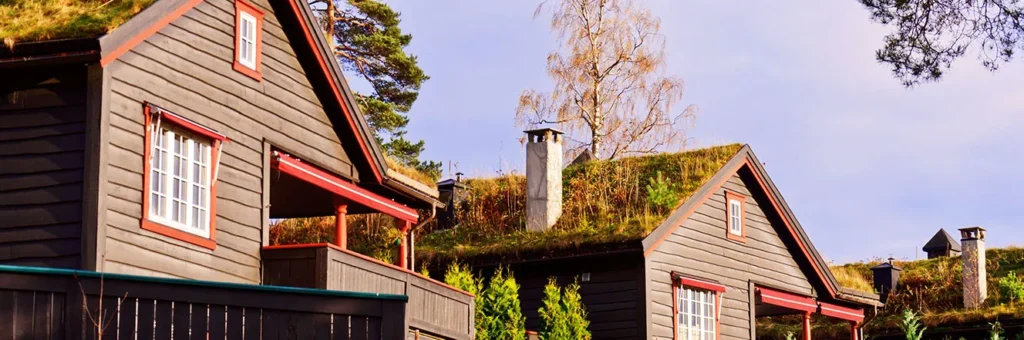 Bild på ett vild vuxet grästak